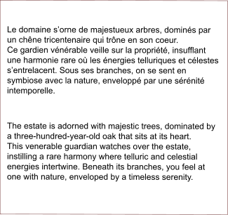 Le domaine s’orne de majestueux arbres, dominés par un chêne tricentenaire qui trône en son coeur.               Ce gardien vénérable veille sur la propriété, insufflant une harmonie rare où les énergies telluriques et célestes s’entrelacent. Sous ses branches, on se sent en symbiose avec la nature, enveloppé par une sérénité intemporelle.  The estate is adorned with majestic trees, dominated by a three-hundred-year-old oak that sits at its heart.       This venerable guardian watches over the estate, instilling a rare harmony where telluric and celestial energies intertwine. Beneath its branches, you feel at one with nature, enveloped by a timeless serenity.